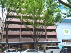 ライオンズマンション赤坂